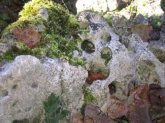 Une pierre percée